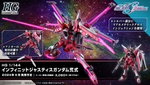 Load image into Gallery viewer, HG 1/144 INFINITE JUSTICE GUNDAM TYPE II
