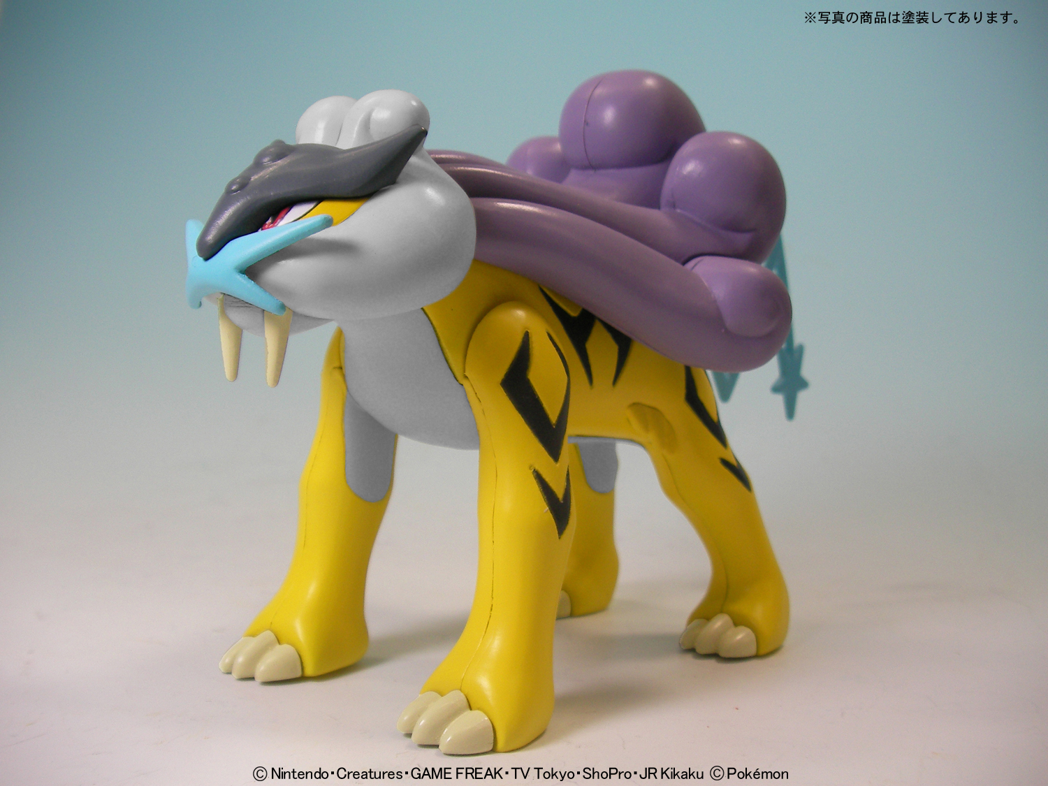 Pokemon Model Kit RAIKOU