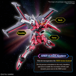 Load image into Gallery viewer, HG 1/144 INFINITE JUSTICE GUNDAM TYPE II
