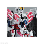 Load image into Gallery viewer, MG 1/100 NARRATIVE GUNDAM C-PACKS Ver.Ka
