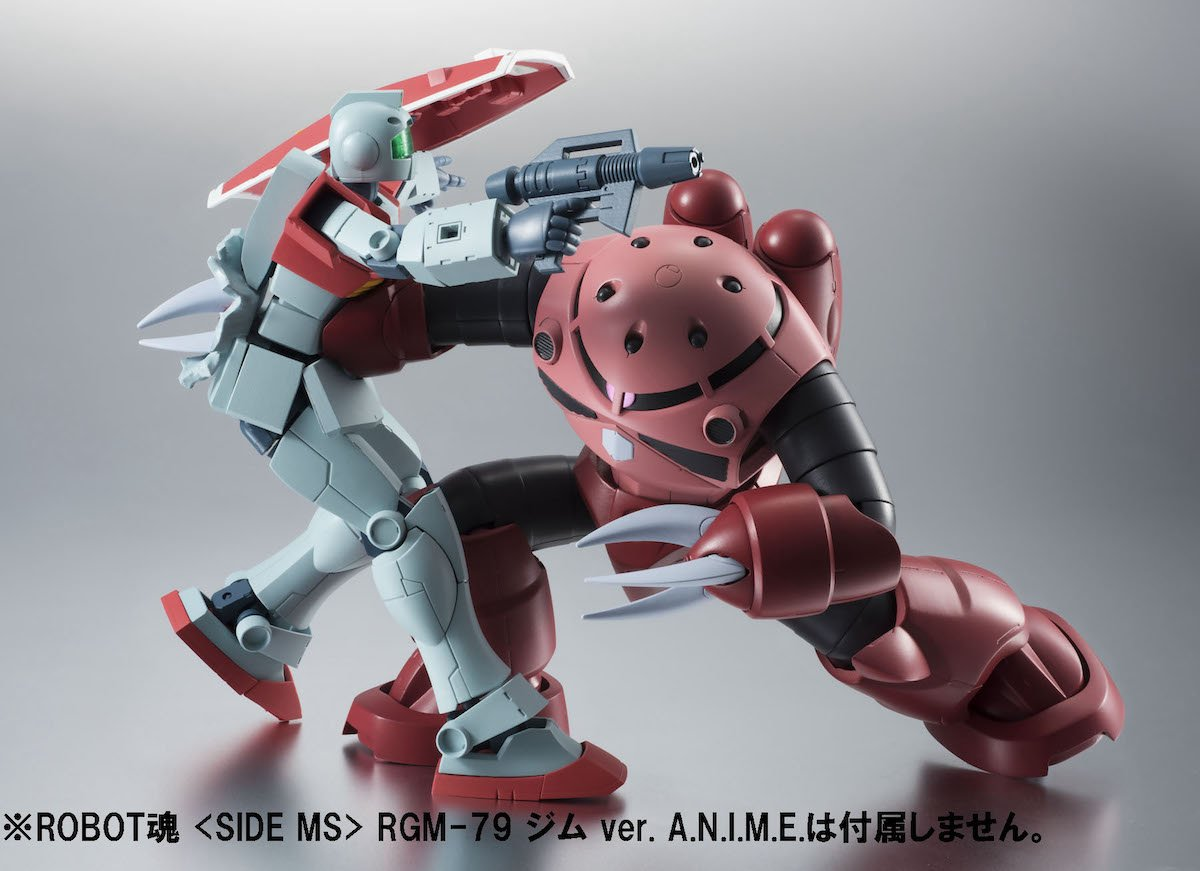 Robot Spirits MSM-07S Z'GOK Char's Custom Model ver. A.N.I.M.E.