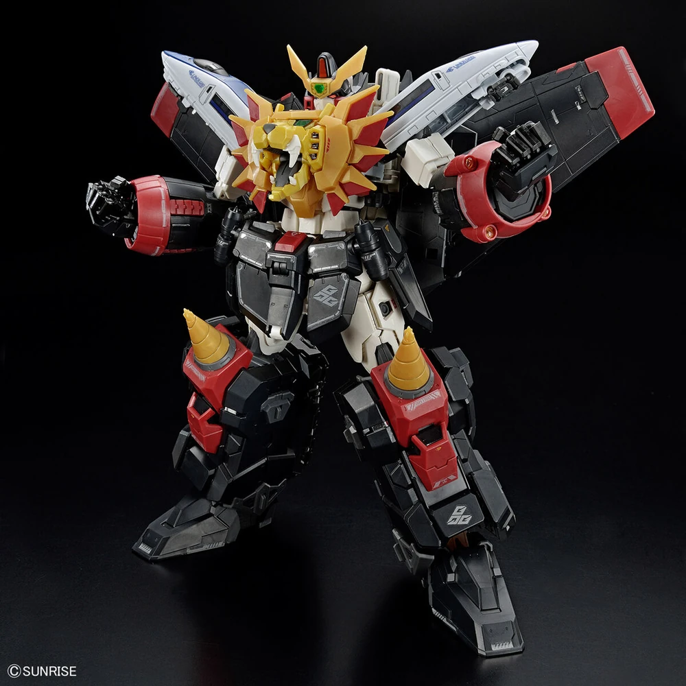 RG GAOGAIGAR