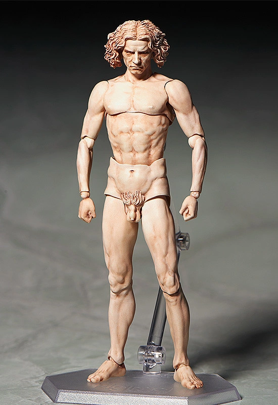 FIGMA SP-075 VITRUVIAN MAN