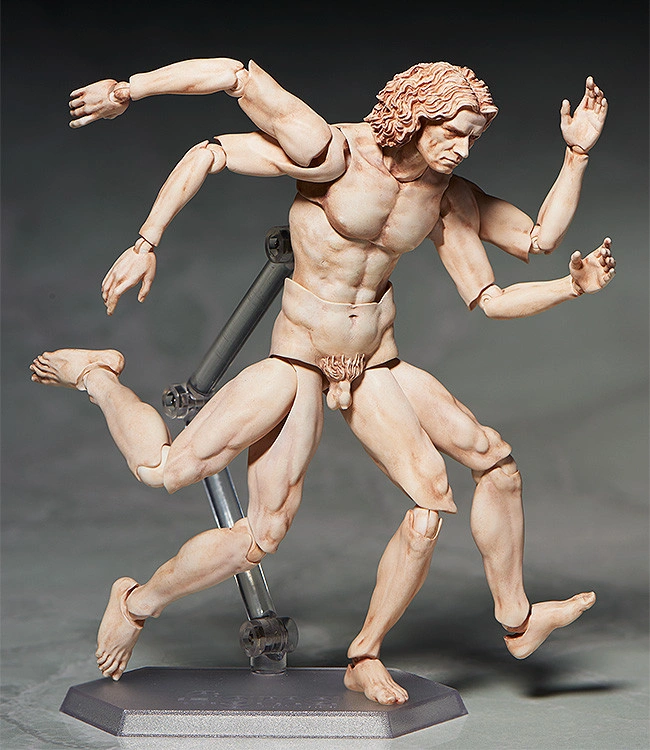 FIGMA SP-075 VITRUVIAN MAN