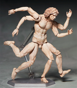 Load image into Gallery viewer, FIGMA SP-075 VITRUVIAN MAN
