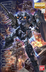 Load image into Gallery viewer, MG 1/100 JESTA
