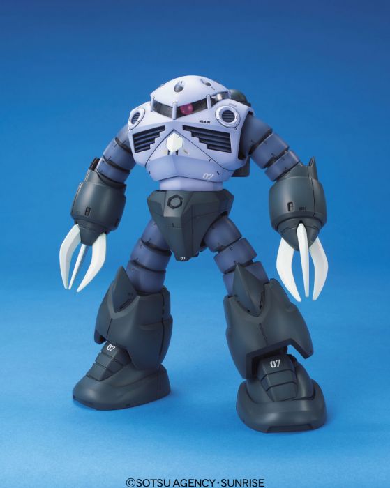 BANDAI MG 1/100 Z'GOK